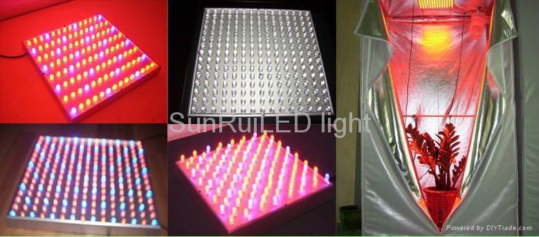 Buy Led Lights