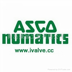 青岛秉诚工贸有限公司 (中国 山东省 贸易商) - 