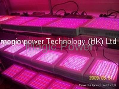  Lights  Growing Plants on 300w Led Grow Light Led Plant Grow Light   Led Panel Grow Light   Mp