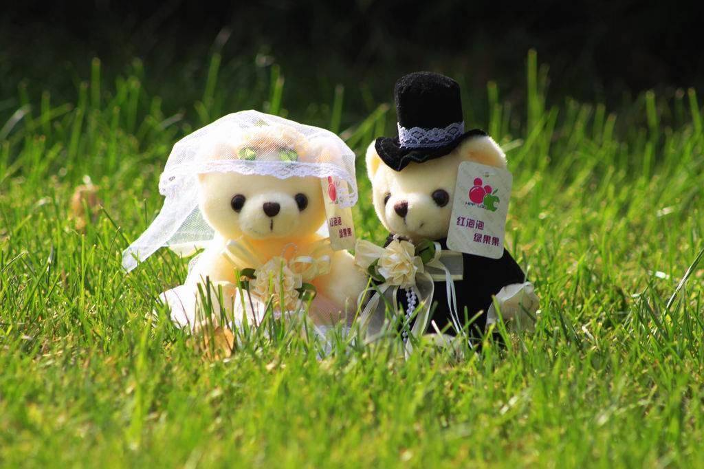 COCO Plush toy Bride and groom valentine bear - bear114 - HPPLGG ...