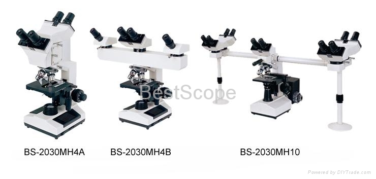 multi head microscope
