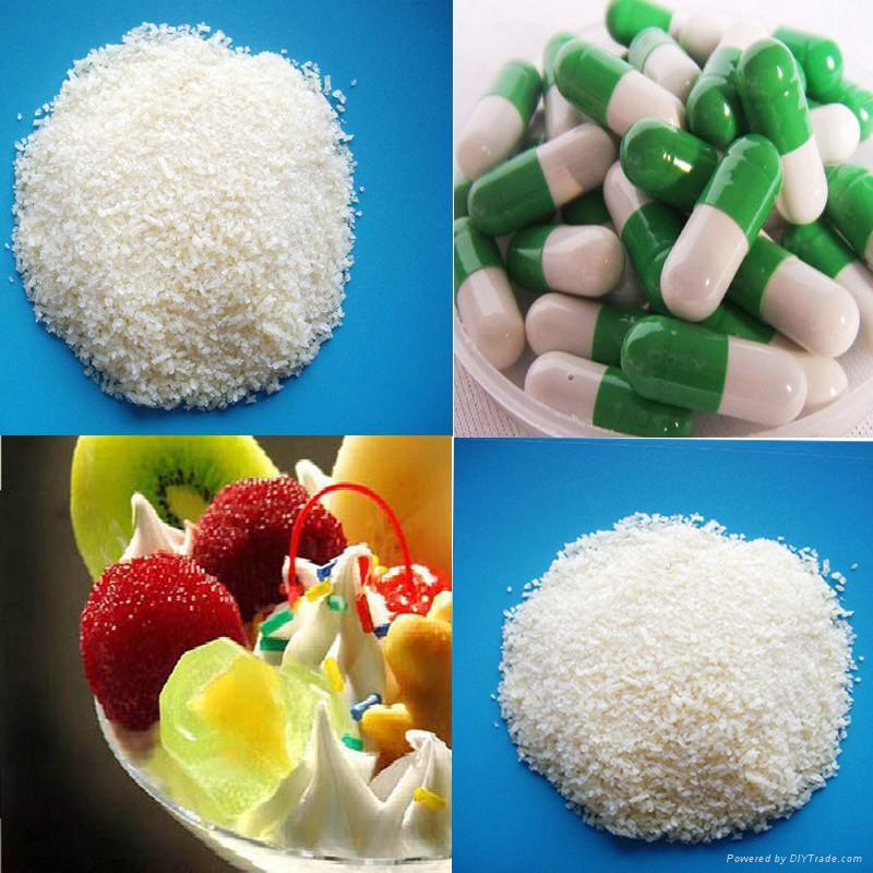 edible gelatin recipes edible gelatin recipes