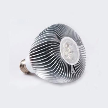 Keywords: LED BULBS , bulbs