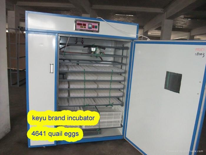 Turkey egg incubator - KFK - Keyu (China Manufacturer) - Animal 