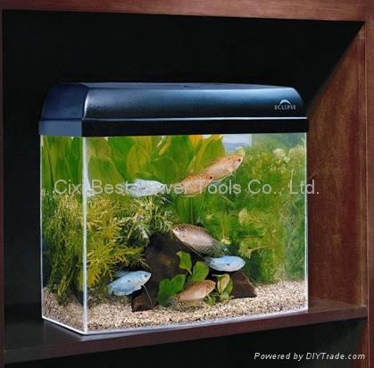 goldfish bowl pictures