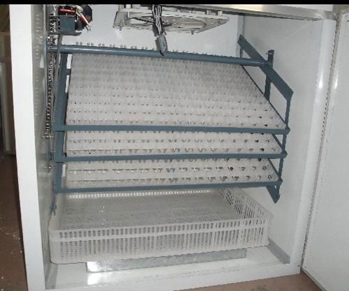 Chicken Egg Incubators