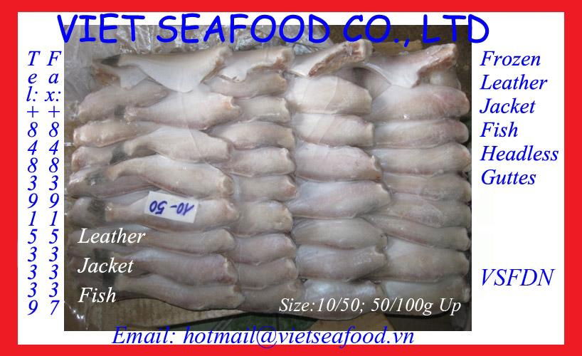 FROZEN LEATHER JACKET FISH (HGT) - LEATHER JACKET - VSF (Vietnam Manufacturer) - Products