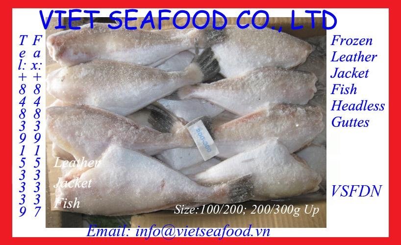 FROZEN LEATHER JACKET FISH (HGT) - LEATHER JACKET - VSF (Vietnam Manufacturer) - Products