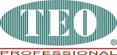TEO Tech (HK) Co.,Ltd
