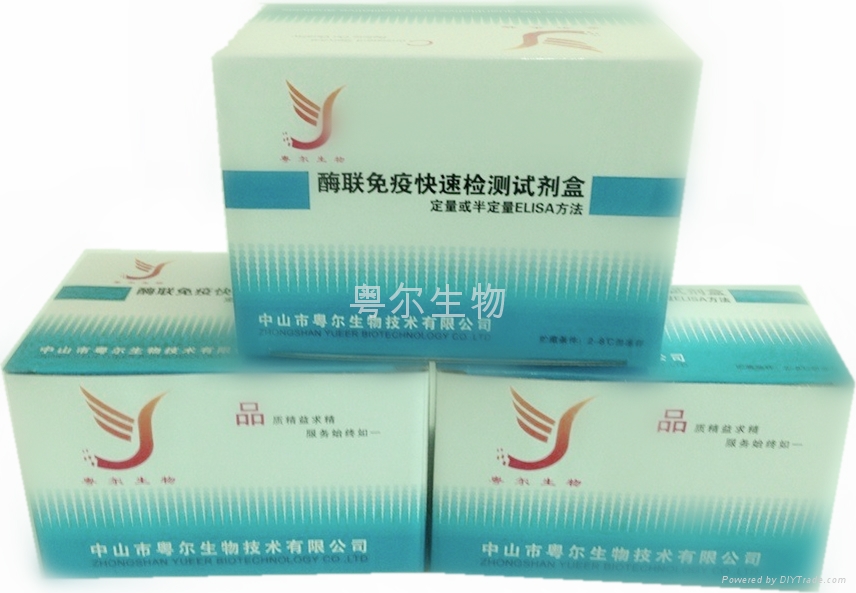 莱克多巴胺检测试剂盒 - 96 - 粤尔生物 (中国 广