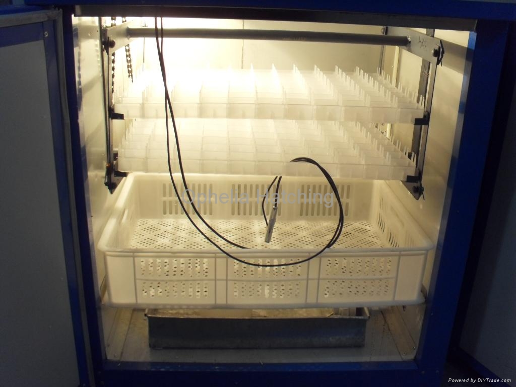 Chicken Egg Incubators
