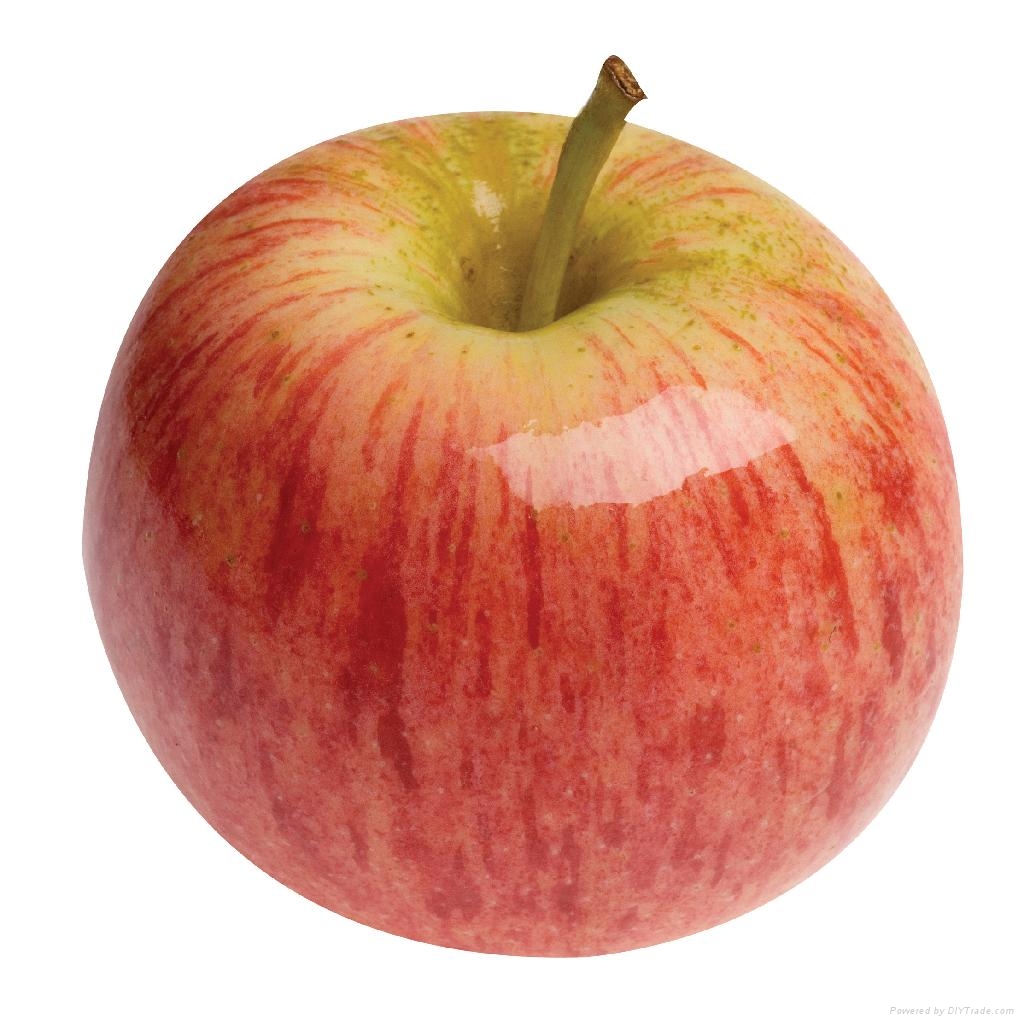 Apple Fresh