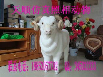 仿真山羊模型 (中国 山东省 生产商) - 模型玩具