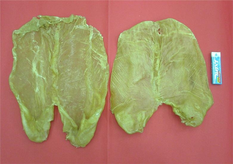 花胶 - 680j (Macau 贸易商) - 健康食品 - 加工食