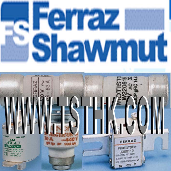 FERRAZ SHAWMUT 保險管