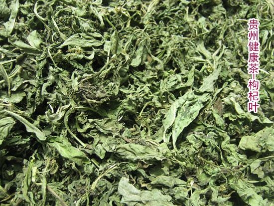 枸杞叶 枸杞苗 地仙苗 Medlar Leaf 防辐射 - 活力