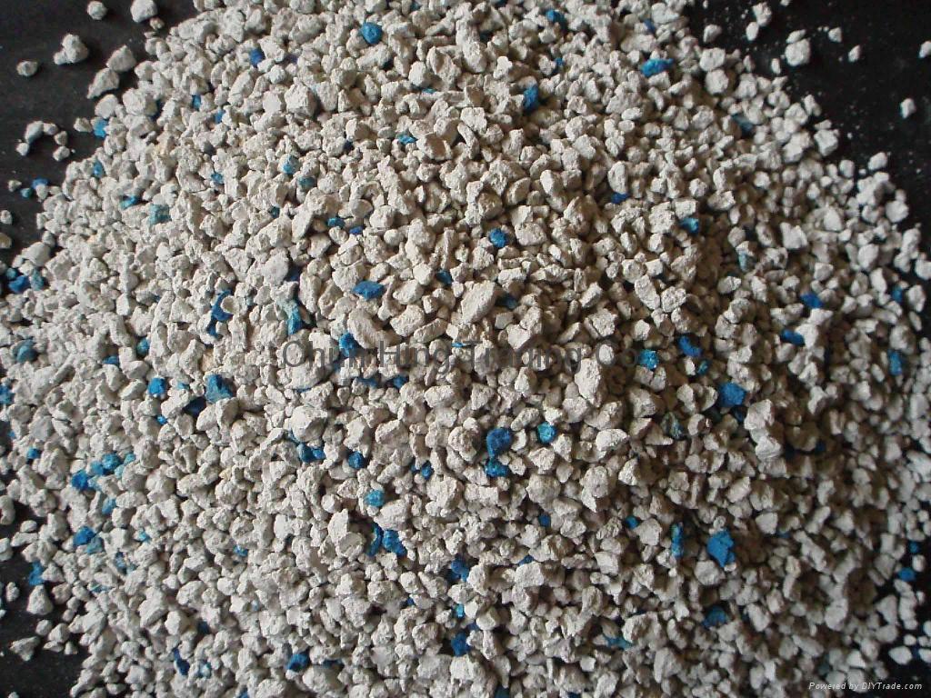 crushed cat