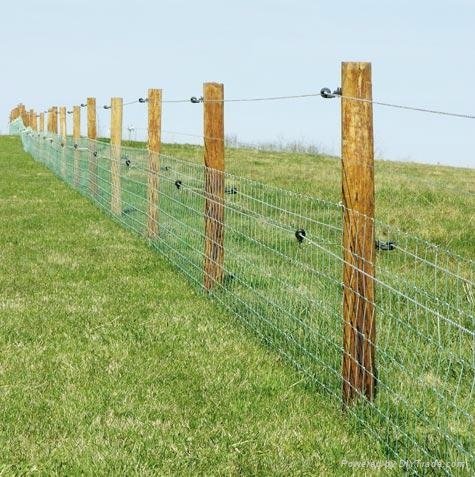 metal farm fence