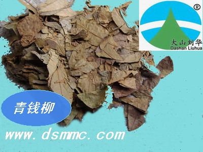 青钱柳叶子泡茶喝,真的能降血糖吗
