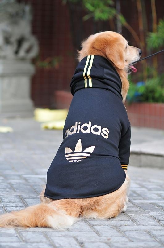 批发大狗衣服 - AD-005 - adidas (中国 广东省