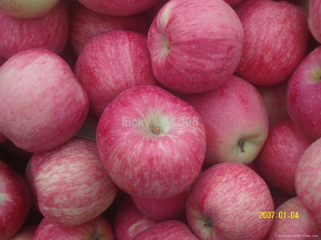 富士苹果+-+65#,70#,75#