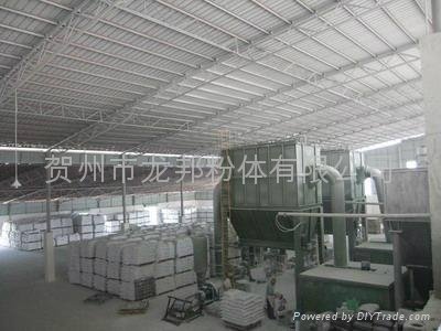 600目重质碳酸钙粉 - 806 - 龙邦 (中国 生产商)