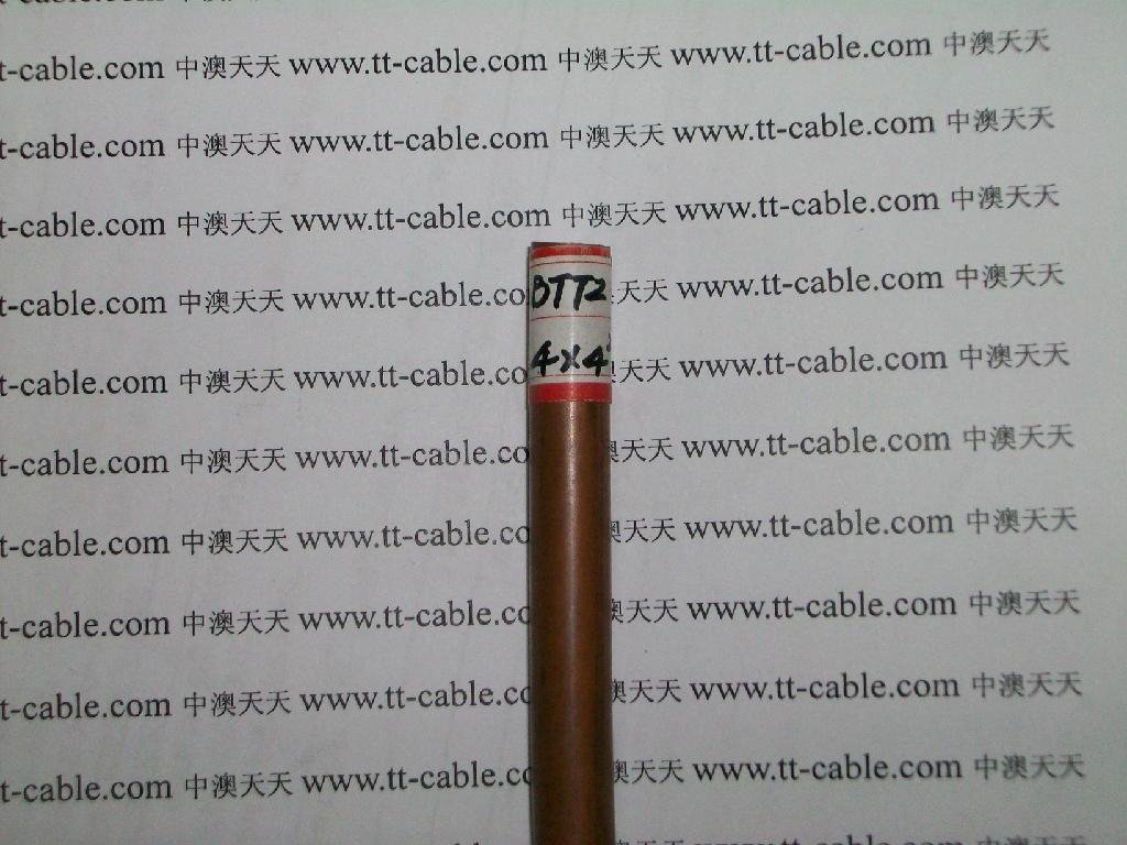 柔性矿物电缆 - RTWTW,RTWTWV,RT - 天天 (中