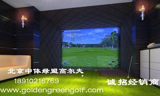 韩国Swing Star 大众娱乐模拟器 (中国) - 高尔夫