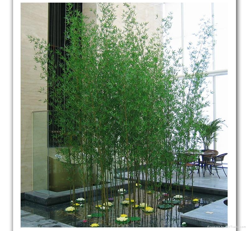 珠海仿生植物 - 168 - 强盛 (中国 生产商) - 塑料工艺品 - 工艺品 产品 「自助贸易」