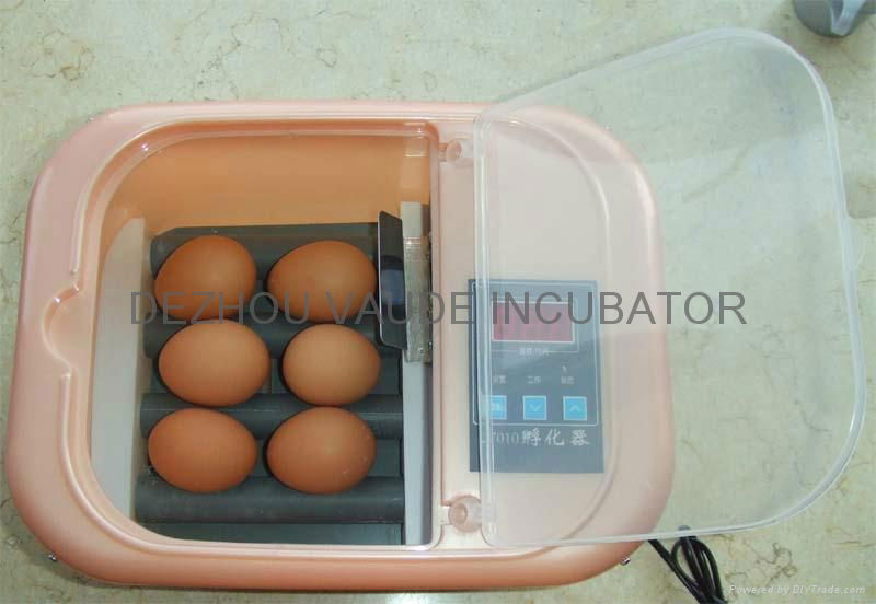 Chicken Egg Incubator Mini egg incubator can hold 6