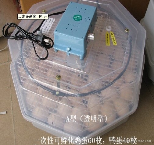 mini egg incubator can hold 60 bird eggs - China - Trading Company -