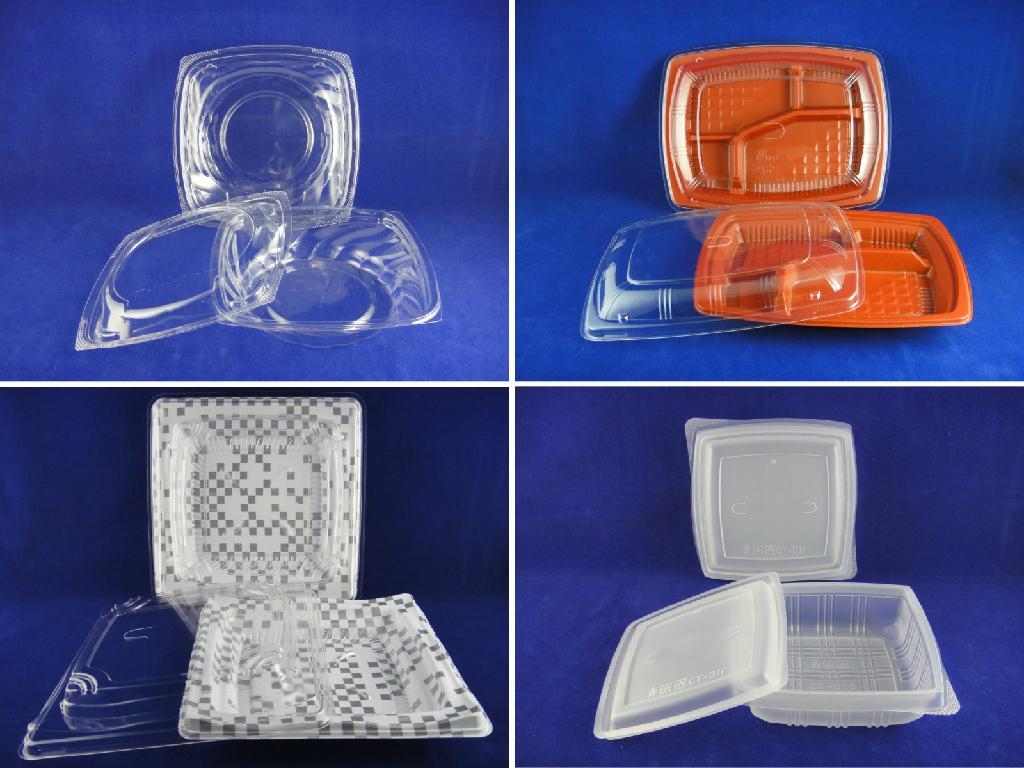 Disposable Plastic Food Packaging (China) Plastic Packaging Materials