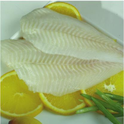 fillet of sole