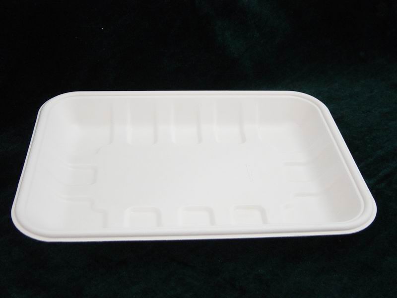 disposable trays