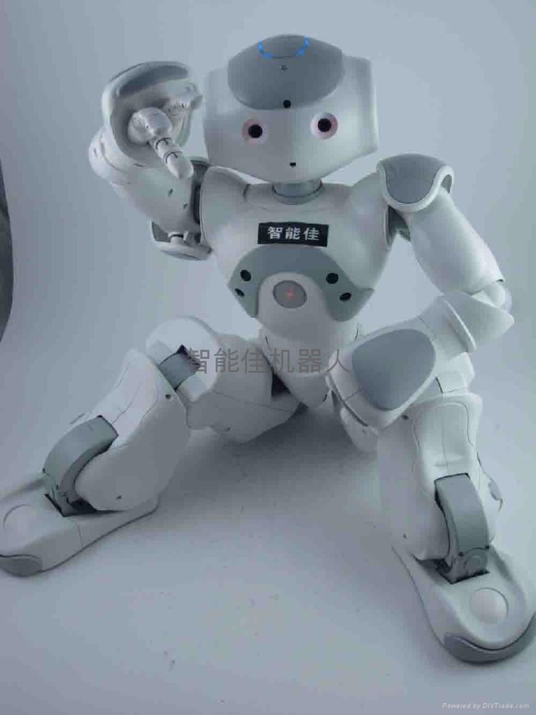 智能双足机器人NAO 春晚舞蹈机器人 - NAO - 