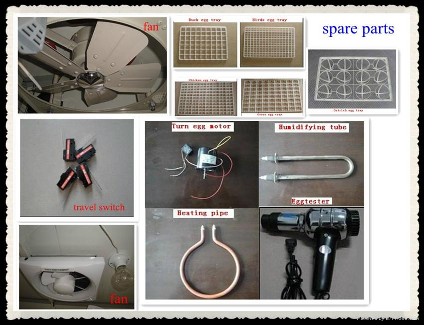 Cheap Chicken Egg Incubator For Sale - YZITE-15 - Howard (China 