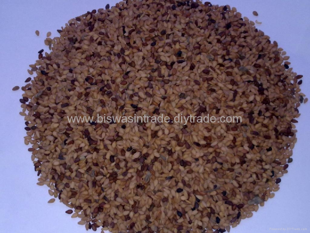 Sesame Seed