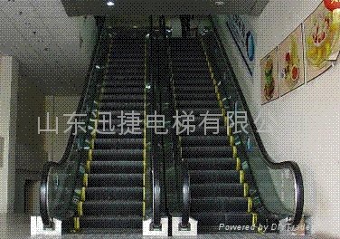 迅捷自动扶梯 (中国 山东省 生产商) - 楼宇设施