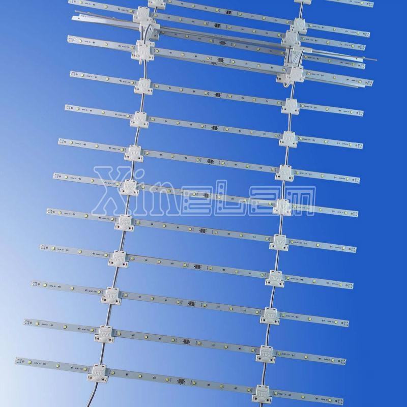 灯箱背光LED矩阵卷帘 - RX-BKT - Xinelam (中