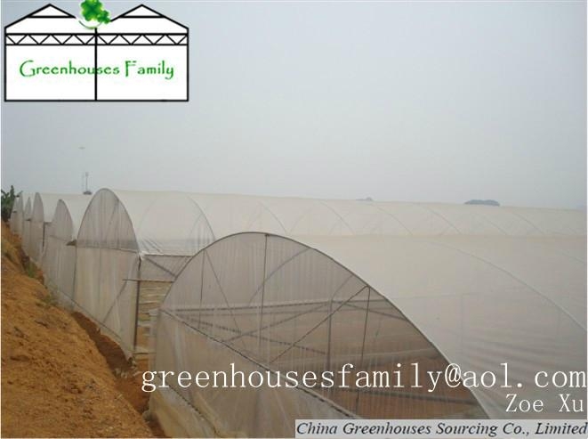 System trading corporation greenhouse