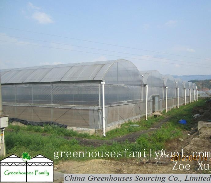 System trading corporation greenhouse