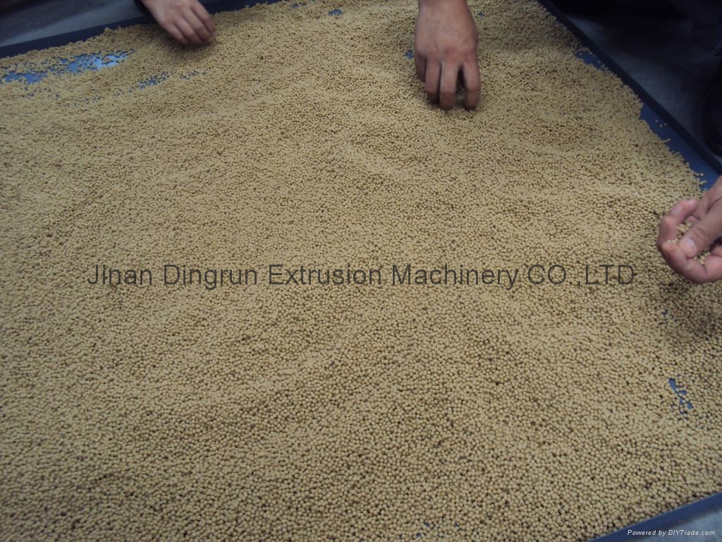 罗非鱼饲料加工设备 - DSE85 - 鼎润 (中国 山东