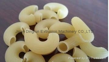 单螺杆油炸食品生产线 - DLG100 - 鼎润 (中国