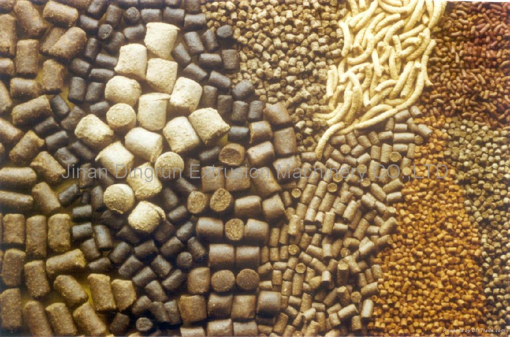 罗非鱼饲料加工机 - DSE85 - 鼎润 (中国 山东省