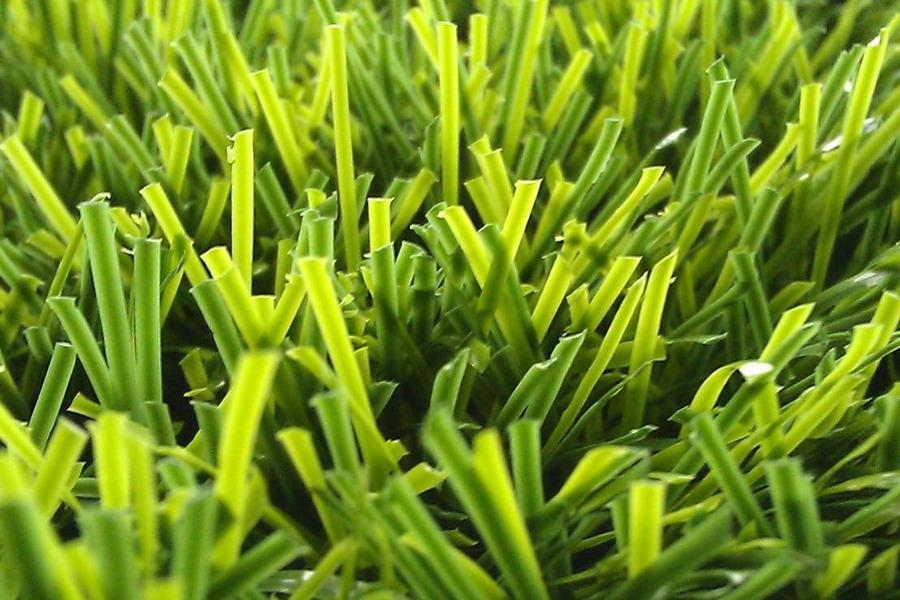 人造草 - A6 - AV GRASS (中国 广东省 生产商