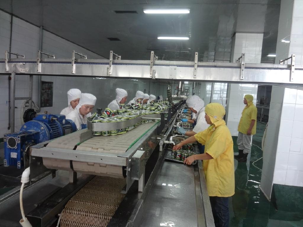 鱼罐头生产线 - 亿鸿 (中国 浙江省 生产商) - 食品
