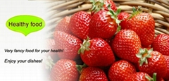 Xuzhou Kanata Foodstuff Co., Ltd. Xuzhou Kanata Foodstuff Co., Ltd.