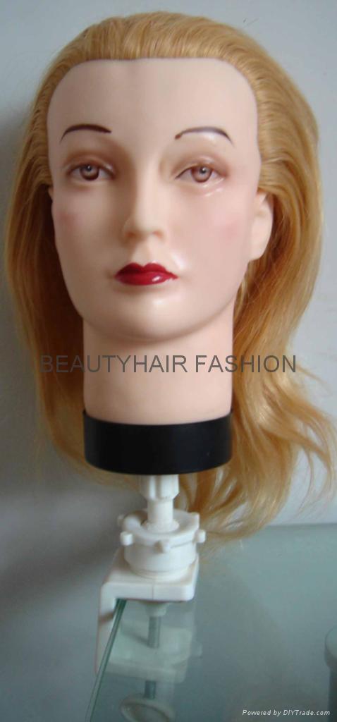 Head Skin