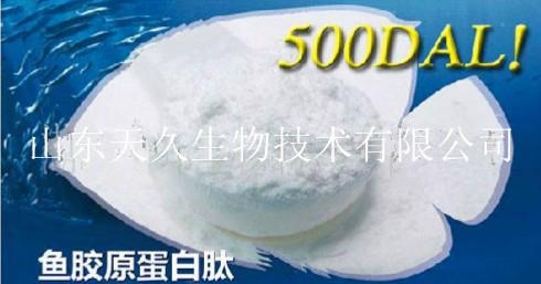 鱼胶原蛋白肽 - 山东天久 (中国 山东省 生产商)