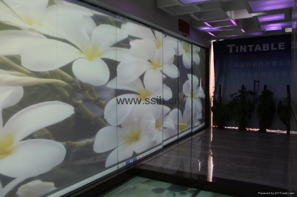 液晶调光薄膜 - light A002 - 泰特声光 (中国 广东